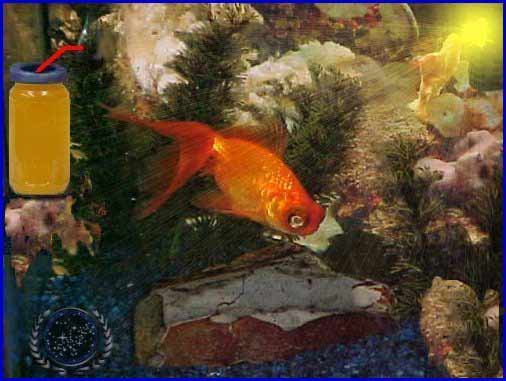 7M.Strange Bedfellows